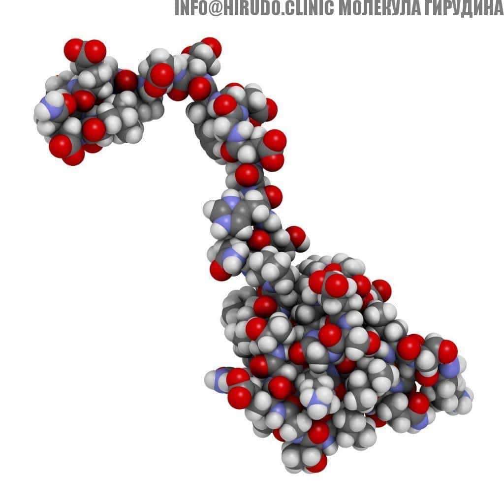 Молекула белка гирудина. Белок-антикоагулянт от пиявок, предотвращающий свертывание крови за счет ингибирования тромбина. Используется местно при лечении гематом. Атомы показаны в виде цветных сфер.